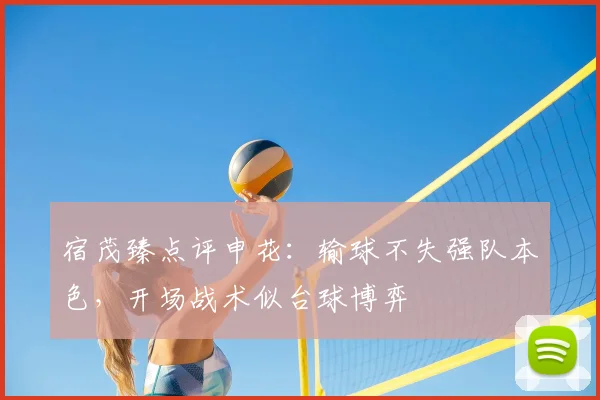 宿茂臻点评申花：输球不失强队本色，开场战术似台球博弈