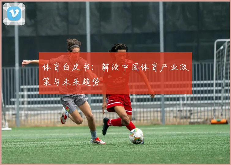 体育白皮书：解读中国体育产业政策与未来趋势